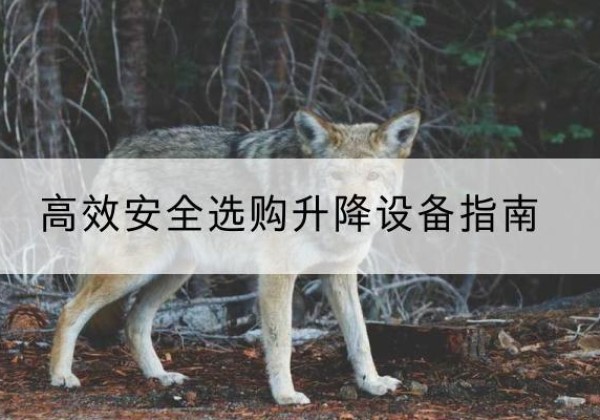 杏花岭升降货梯厂家推荐-*安全选购升降设备指南