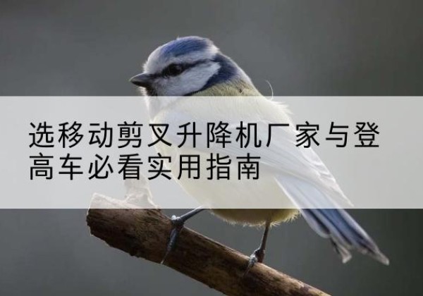 杏花岭电动升降机厂家-选移动剪叉升降机厂家与登高车必看实用指南