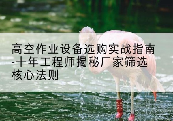 杏花岭剪叉式升降机厂家-高空作业设备选购实战指南-十年工程师揭秘厂家筛选核心法则